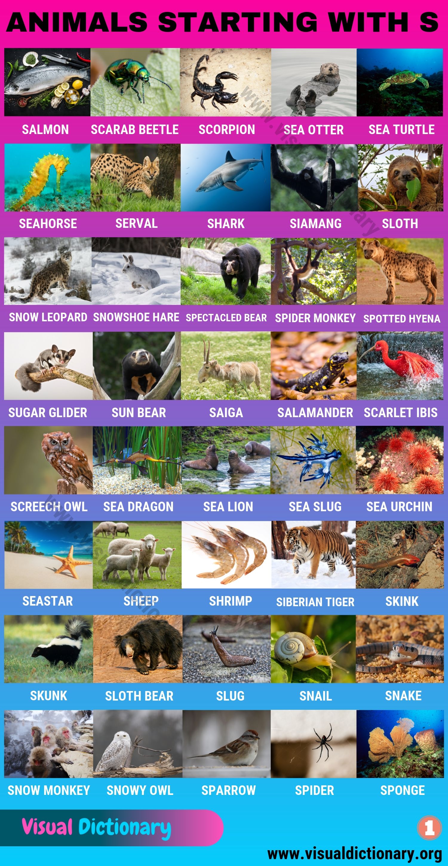 Animals that Start with S