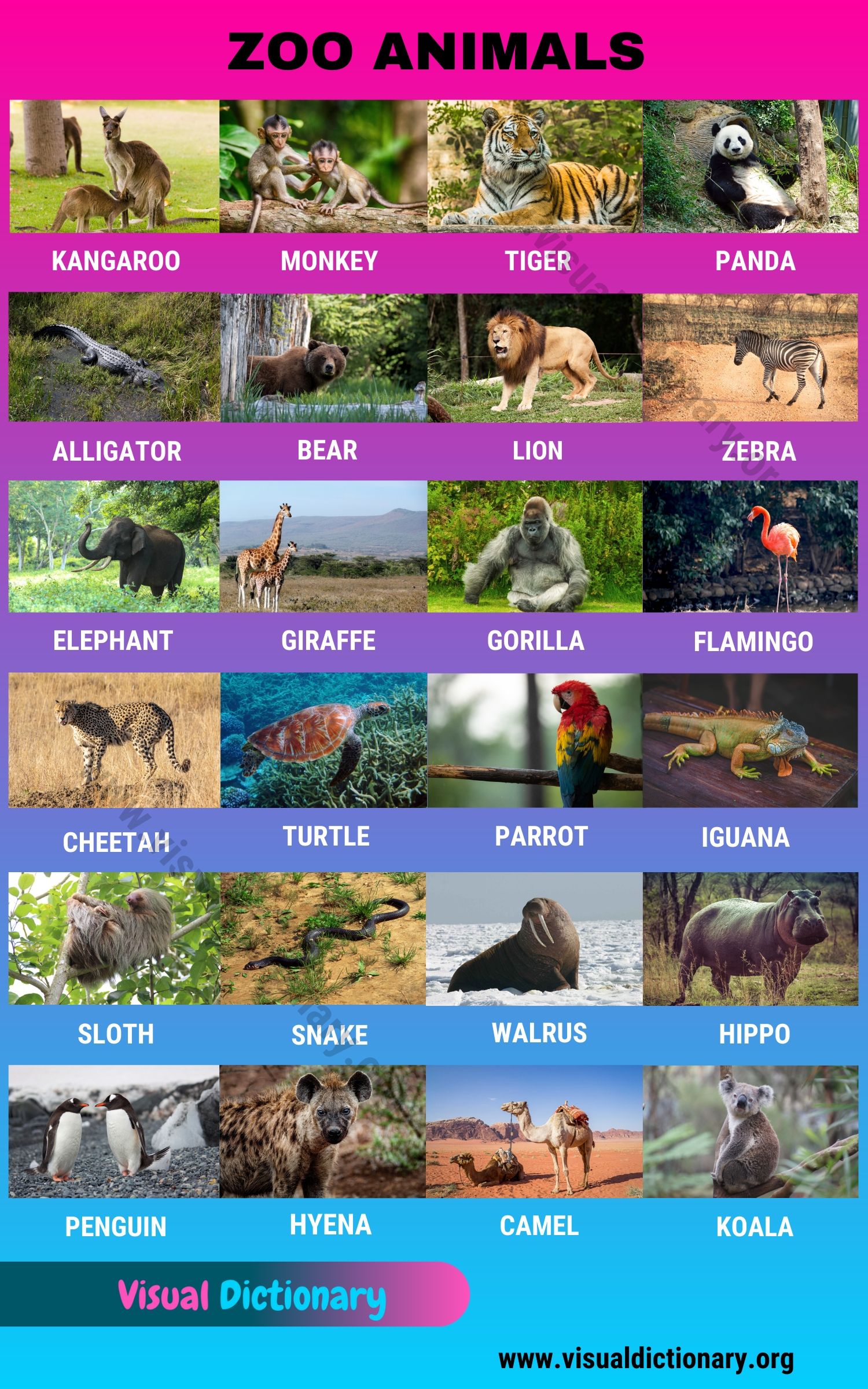 Zoo Animals: Wonderful List of 24 Animals that Live in the Zoo - Visual