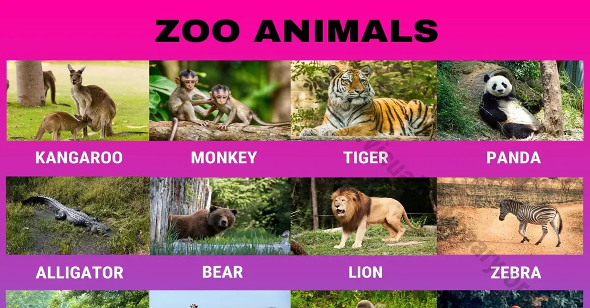Zoo Animals: Wonderful List of 24 Animals that Live in the Zoo - Visual