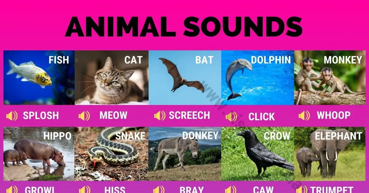 Animal Sounds: 40 Fun Animal Sounds in English - Visual Dictionary