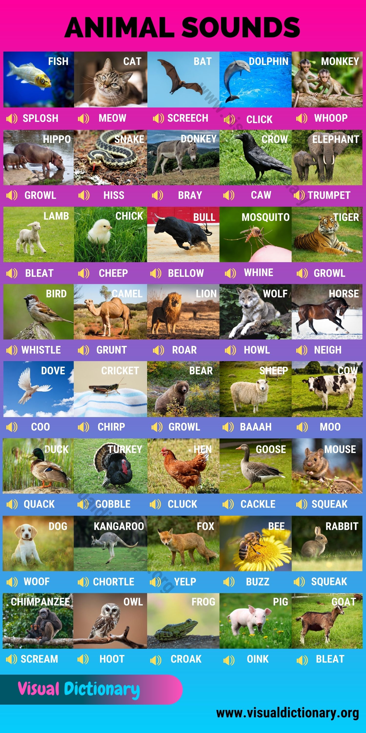 Animal Sounds: 40 Fun Animal Sounds in English - Visual Dictionary