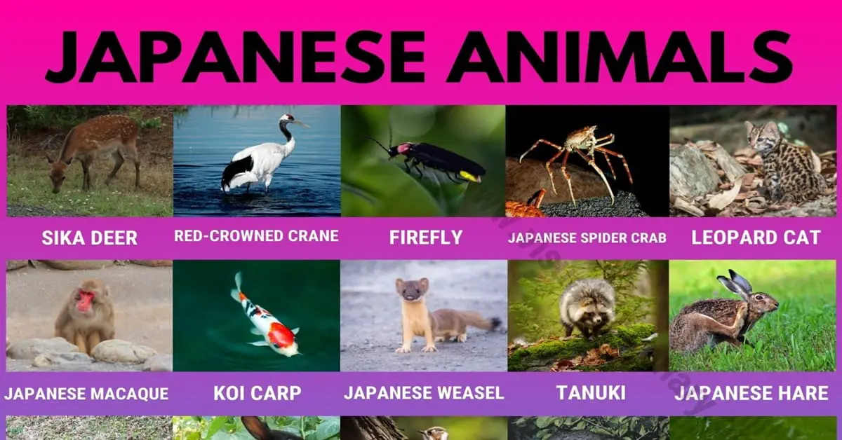 Japanese Animals
