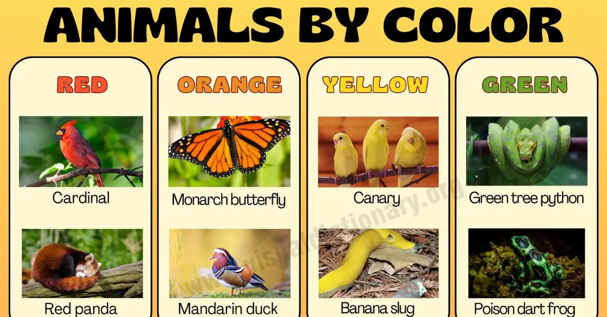 Animals by Color List of Awesome Animals and their Colors